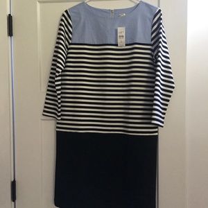 BRAND NEW LOFT Dress